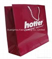 Paper bags printing for gift with cotton handles