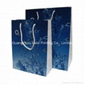 Paper bags printing for gift with cotton handles 5