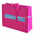 Paper bags printing for gift with cotton handles 2