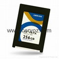 Industrial 2.5" PATA SSD M120 256GB MLC