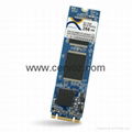 Industrial M.2 2280 Module M310 256GB