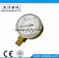 gas pressure regulator 2