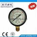 gas pressure regulator 5