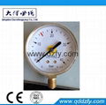 gas pressure regulator 4