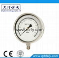 precision pressure gauge 1