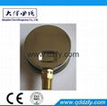 glyceinre or silicone oil filled  pressure gauge 3