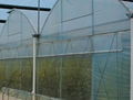 anti insect nets 3