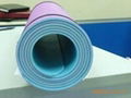 ixpe yoga mat 2