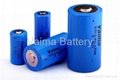 ER14335 batteries