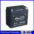 Competitive Price 12N9-BS 12v