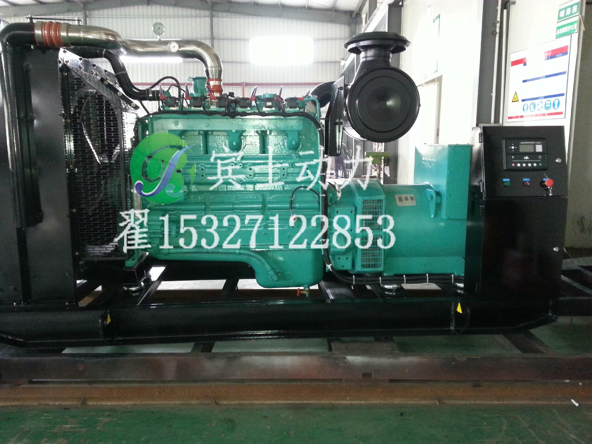 工業有機廢水沼氣發電 4