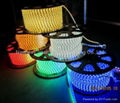 SMD5050 LED  Flexible PVC Rope Lights 2