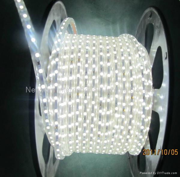 SMD5050 LED  Flexible PVC Rope Lights 3