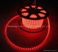 SMD5050 LED  Flexible PVC Rope Lights 4