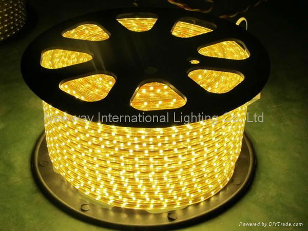 SMD5050 LED  Flexible PVC Rope Lights 5