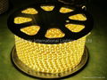 SMD5050 LED  Flexible PVC Rope Lights 5