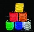 2 wire LED Flexible Neon Rope Lights  2