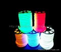 2 wire LED Flexible Neon Rope Lights  3