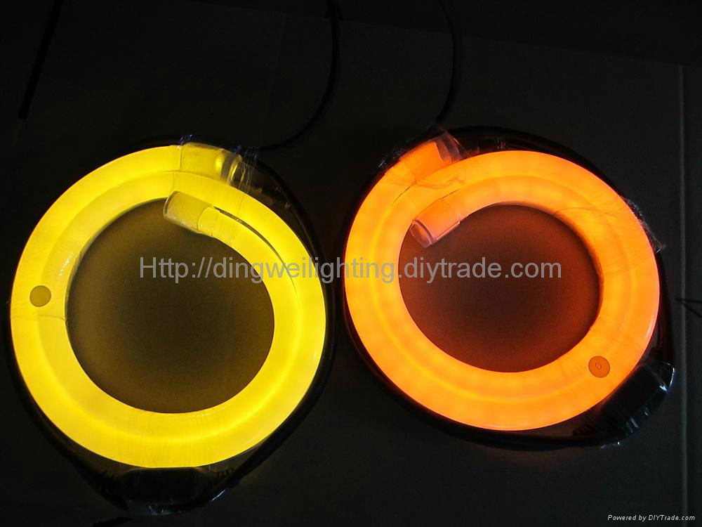 2 wire LED Flexible Neon Rope Lights 
