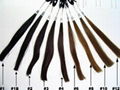 clip in hair 100g/pcs blonde colors made of 100% remy hair 4