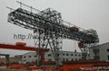 Gantry crane with gantry