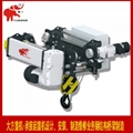 European-style electric hoist with low clearance gourd 1