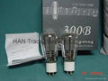 SHUGUANG TUBE 300B