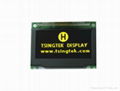 -40℃ OLED display module 2