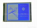 EW32F10BCW lcd module 1