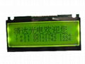 Thin design lcd module,12232 lcd module