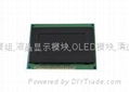 OLED DISPLAY MODULE HGS128646 2