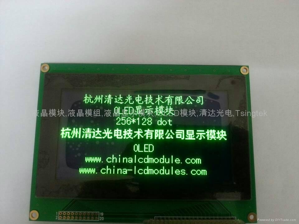 Large size 256128 dot matrix OLED module in low temperature  