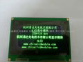 Large size 256128 dot matrix OLED module in low temperature  