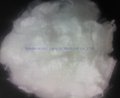 Bicomponent Low Melting Polyester