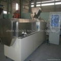 Artificial Rice Processing Line 1