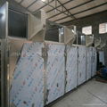 Artificial Rice Processing Line 2