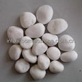 White pebble stone