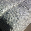 white pebble stone for garden