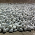 white pebble stone for garden 4
