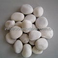 landscaping white pebble stone 2