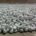 100-150mm large pebble stone rocks 5