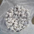 pearl white pebble stone