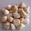 soybean yellow pebble stone