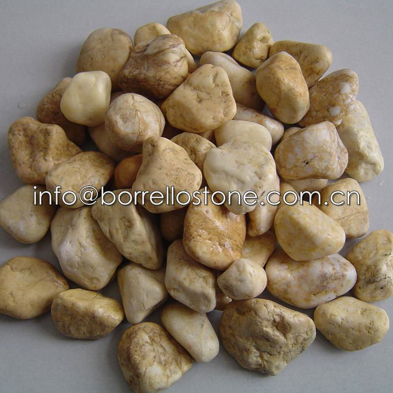 soybean yellow pebble stone 4