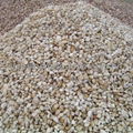 soybean yellow pebble stone 6