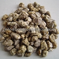 yellow sesame granite pebble