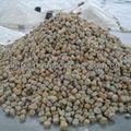 yellow sesame granite pebble 6