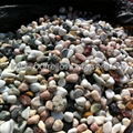 mixed color garden pebble