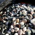 mixed color garden pebble