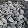 dark grey flat pebble stone 2